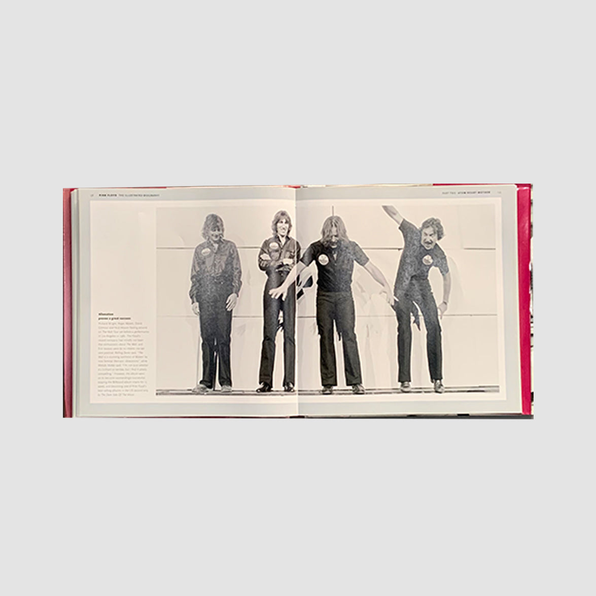 Pink Floyd - The Illustrated Biography