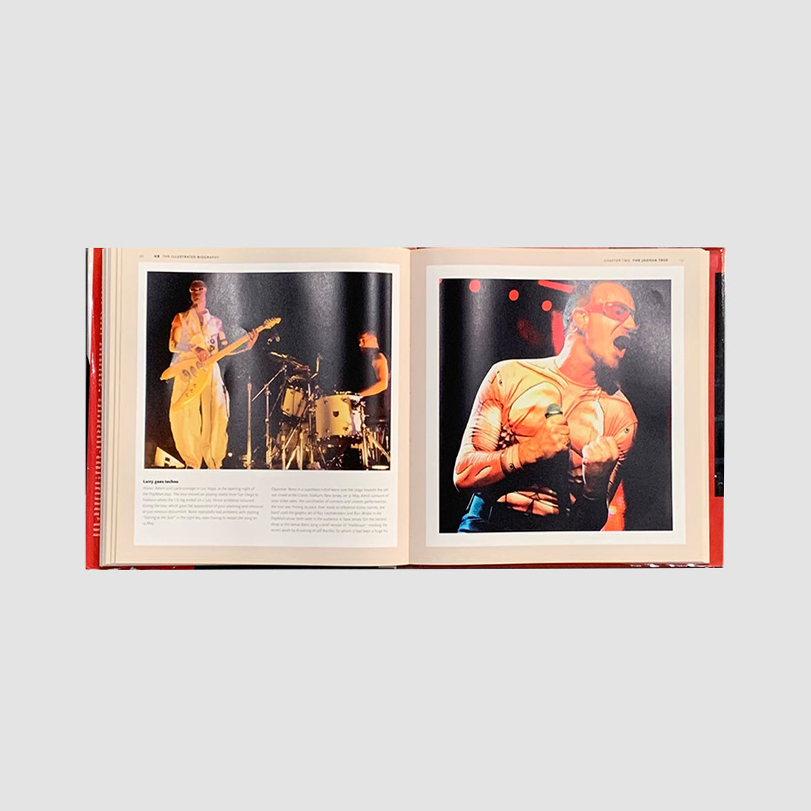 U2 - The Illustrated Biography