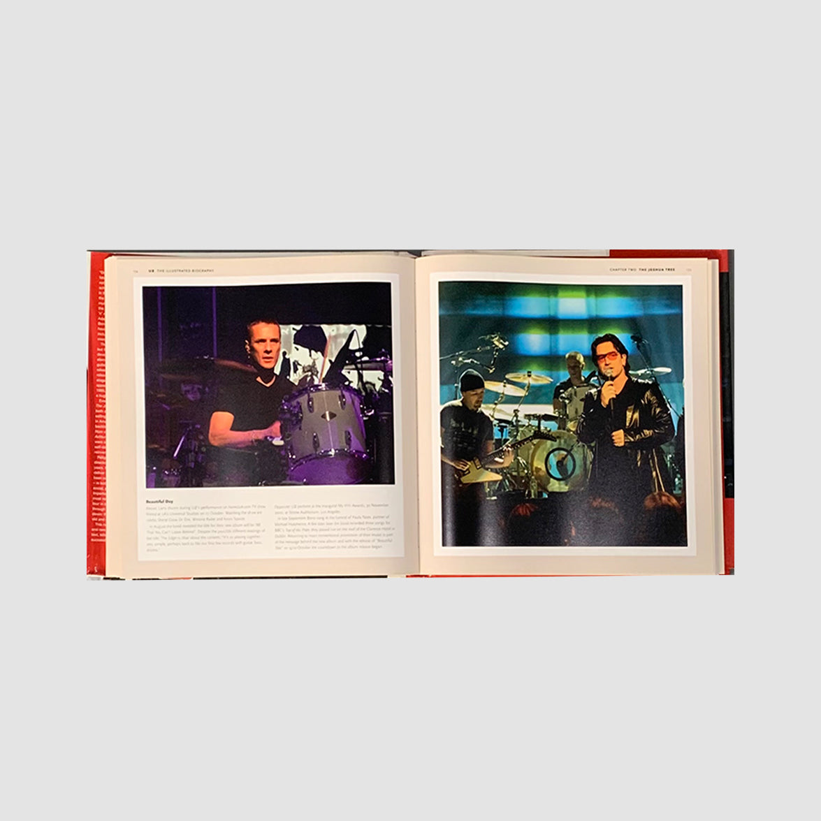 U2 - The Illustrated Biography